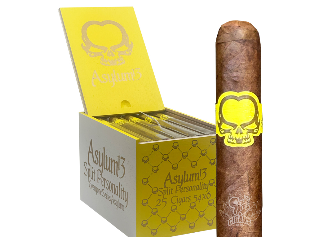 Asylum 13 Split Personality