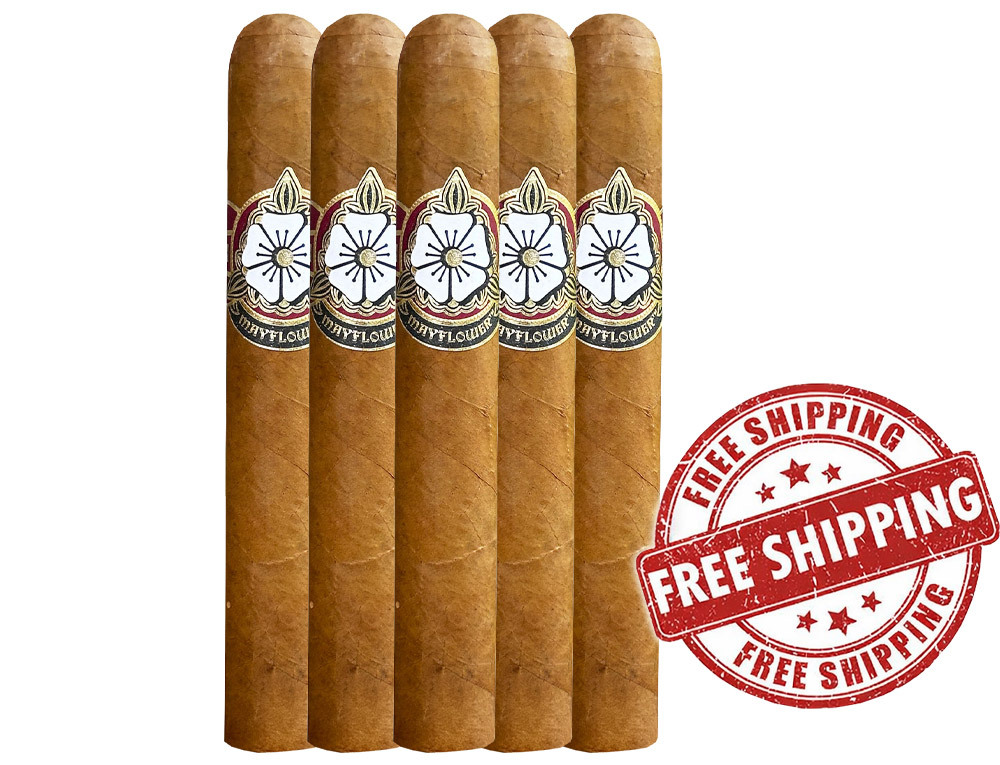Mayflower Dawn Robusto 5-Pack