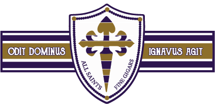 All Saints Dedicacion Habano Robusto - 5 Pack